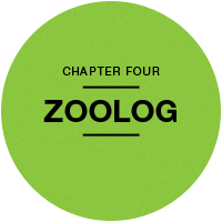 Chapter 4 - Zoolog