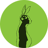 Chapter 4 - Zoolog