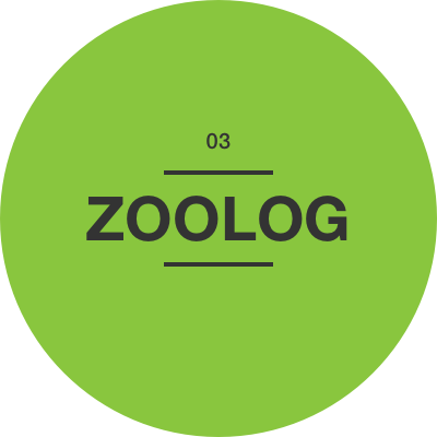 Chapter 4 - Zoolog